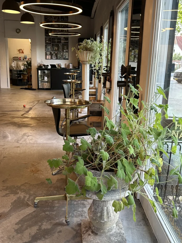 Salonens indretning og grønne planter